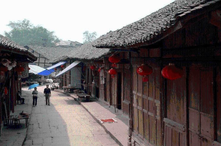 动物帮帮忙保卫家园